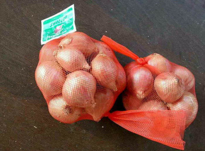 毛葱